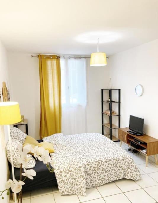 Studio A 5 Mn A Pied De La Gare Saint-Roch Montpellier Bagian luar foto